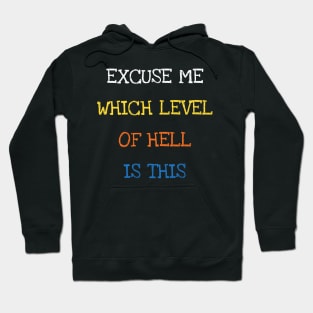Excuse Me Which Level Of Hell Is This Funny Saying Joke Hoodie